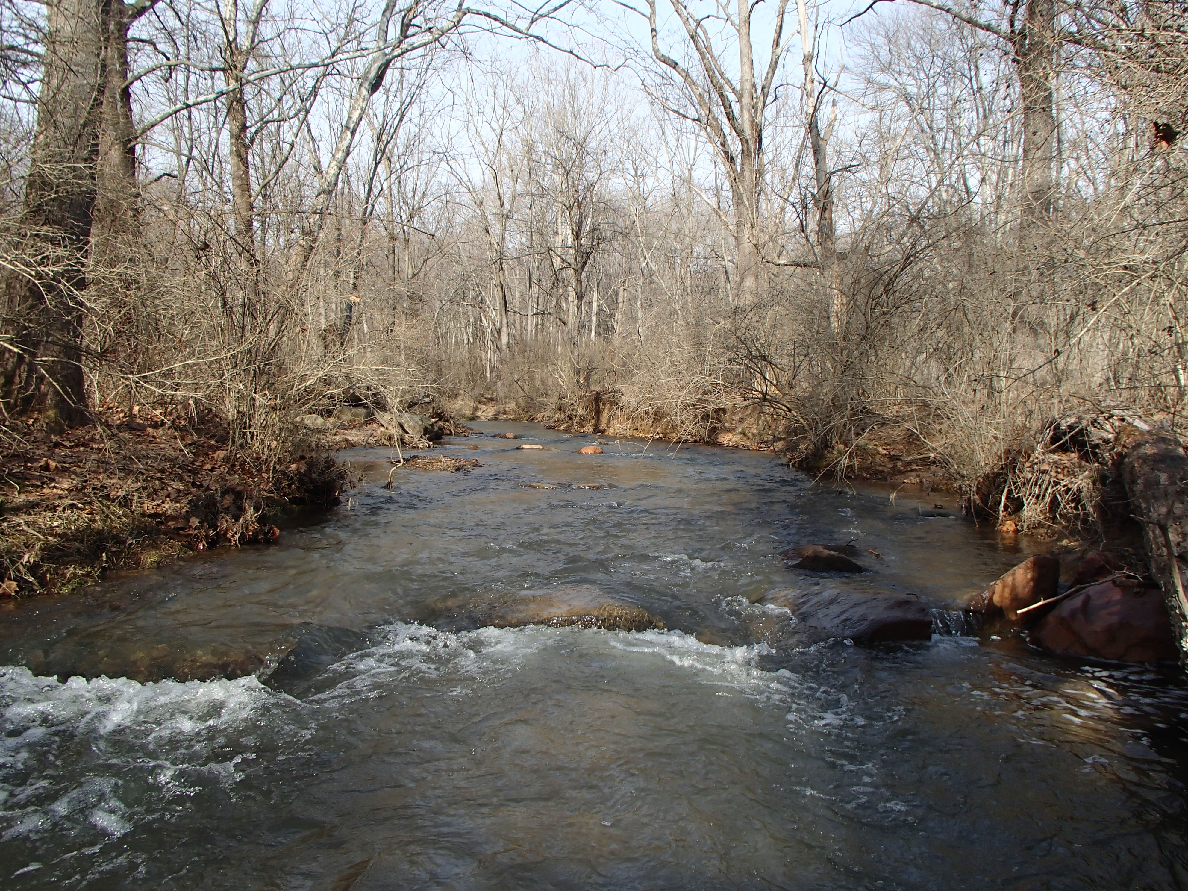Field photo showing stream conditions at site SBPA-205-X-2016_midpoint looking upstream